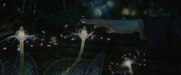 a hand reaches out to touch a flowering plant; still from "Vesper"